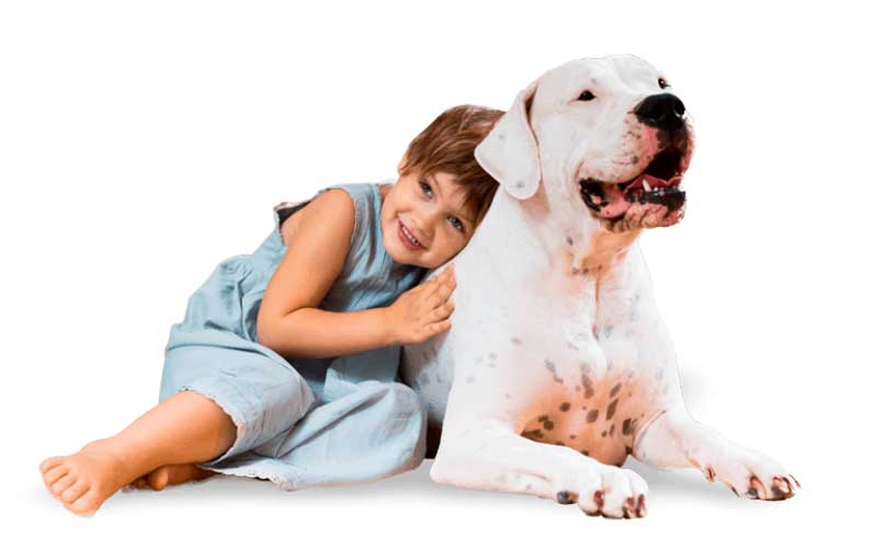 TIENDA ONLINE VENTA MASCOTAS