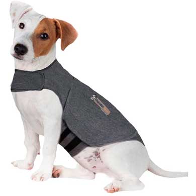 abrigo antiansiedad perros